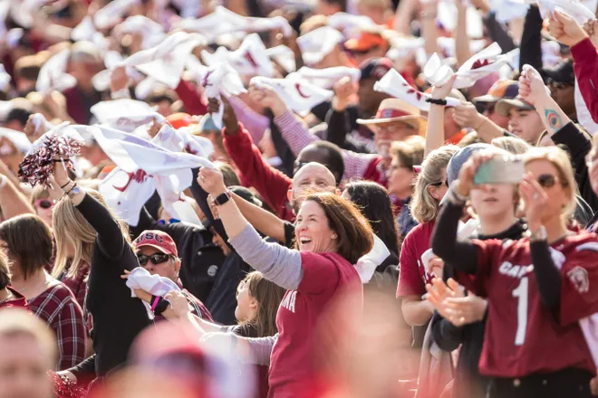 Nov 30, 2019; Columbia, SC, USA; South Carolina Gamecocks fans cheer their team against the Clemson Tigers at Williams-Brice Stadium. Mandatory Credit: Jeff Blake-USA TODAY Sports