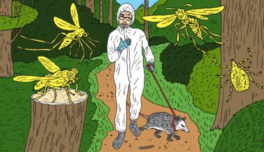 A Writer Faces Nature's Pesky Critters with Trapper Ron