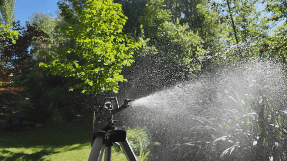 The City of Boise adopted a Drought Emergency Ordinance on Tuesday, as the state faces near-record drought conditions. (Dakota Castets-Didier/CBS2)
