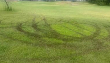 Wild Wings Golf Club's course in Yolo County vandalized