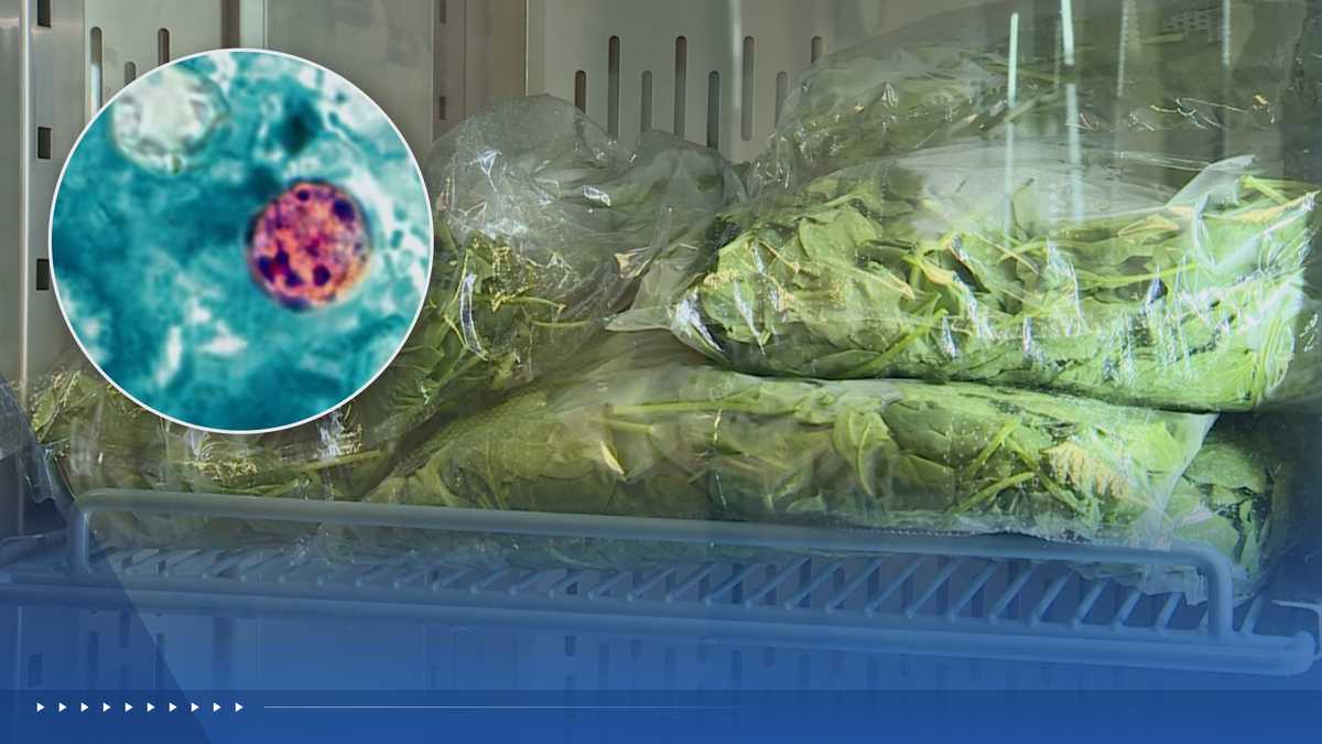 Cyclospora cases spike in Kansas City metro