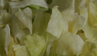9 cases of cyclosporiasis linked to lettuce served at NH hospital