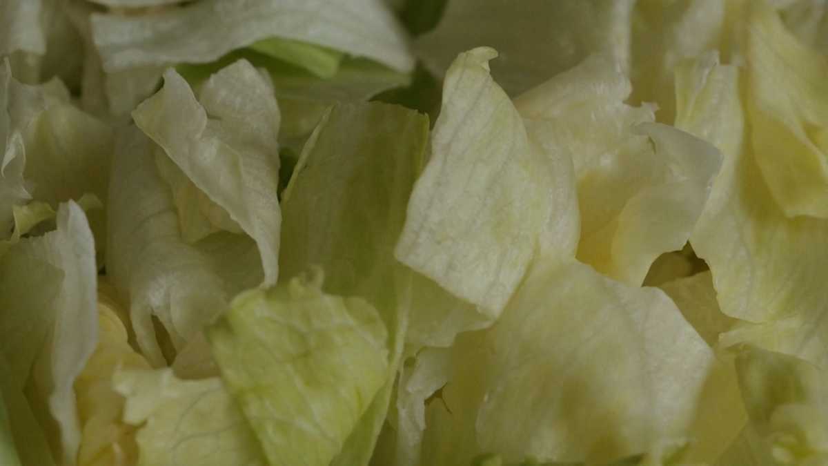 9 cases of cyclosporiasis linked to lettuce served at NH hospital