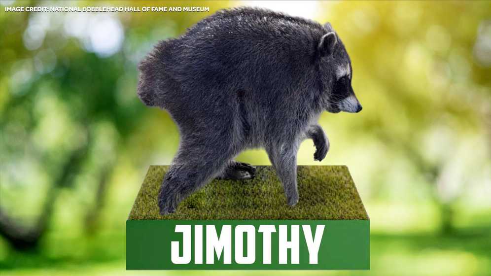 Viral raccoon Jimothy gets bobblehead