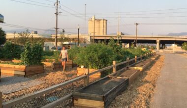From New Parks to Restored Urban Wildlife Habitats…