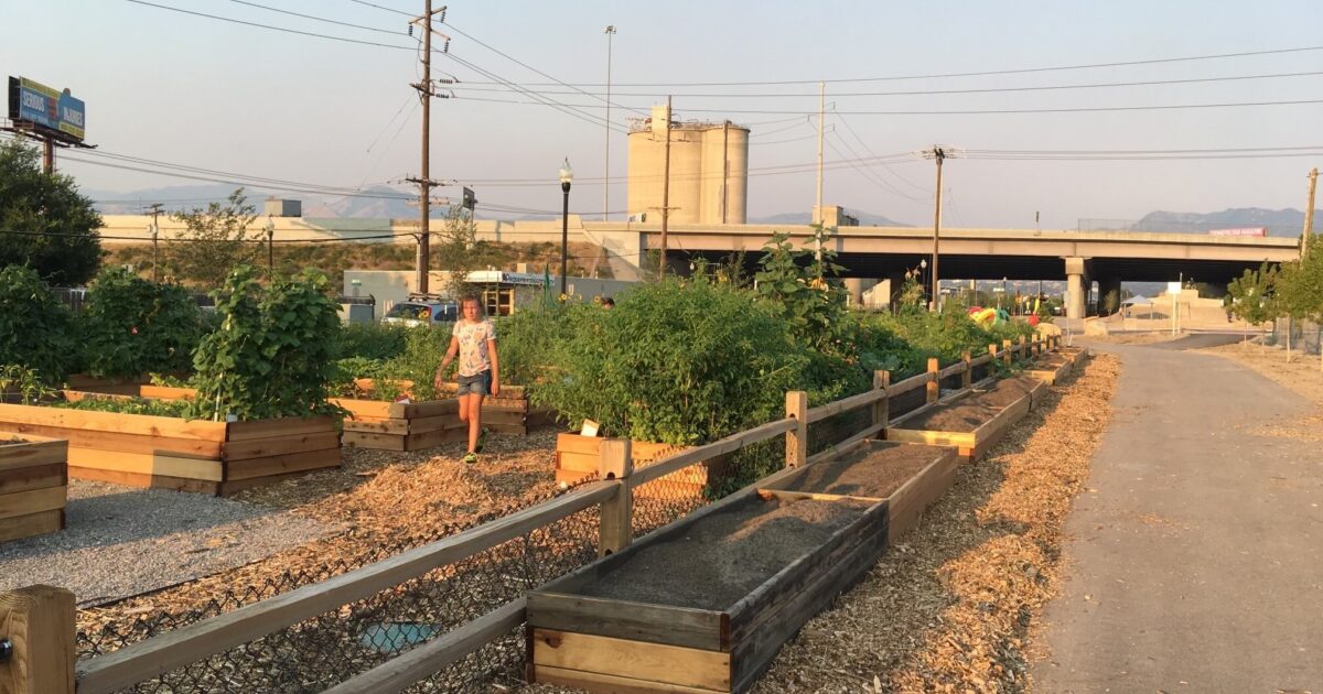 From New Parks to Restored Urban Wildlife Habitats…