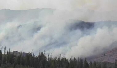 Elephant Fire: Hundreds of acres burn in Sierra, Lassen counties