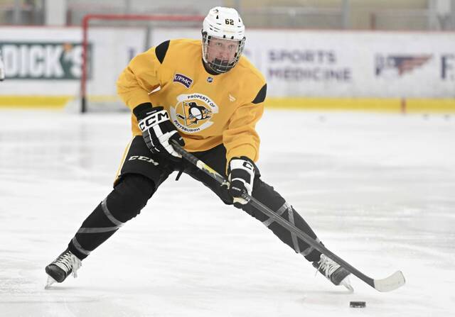 South Dakotan Carter Sanderson is making progress as a Penguins’ prospect