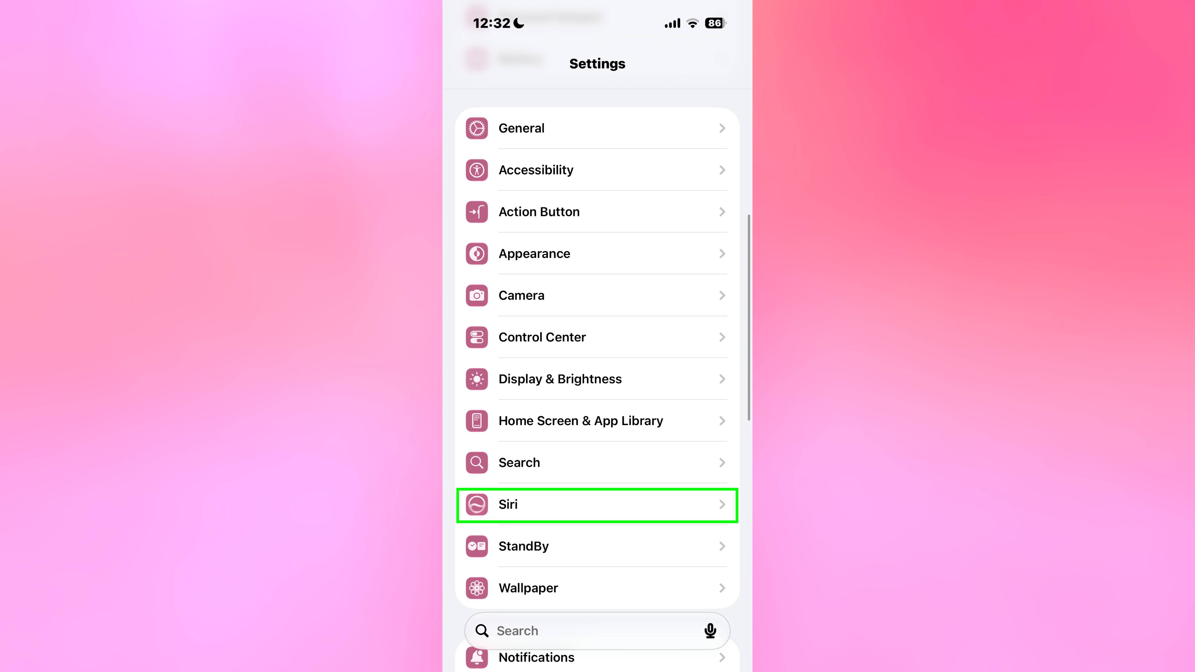 Siri highlighted in iPhone settings