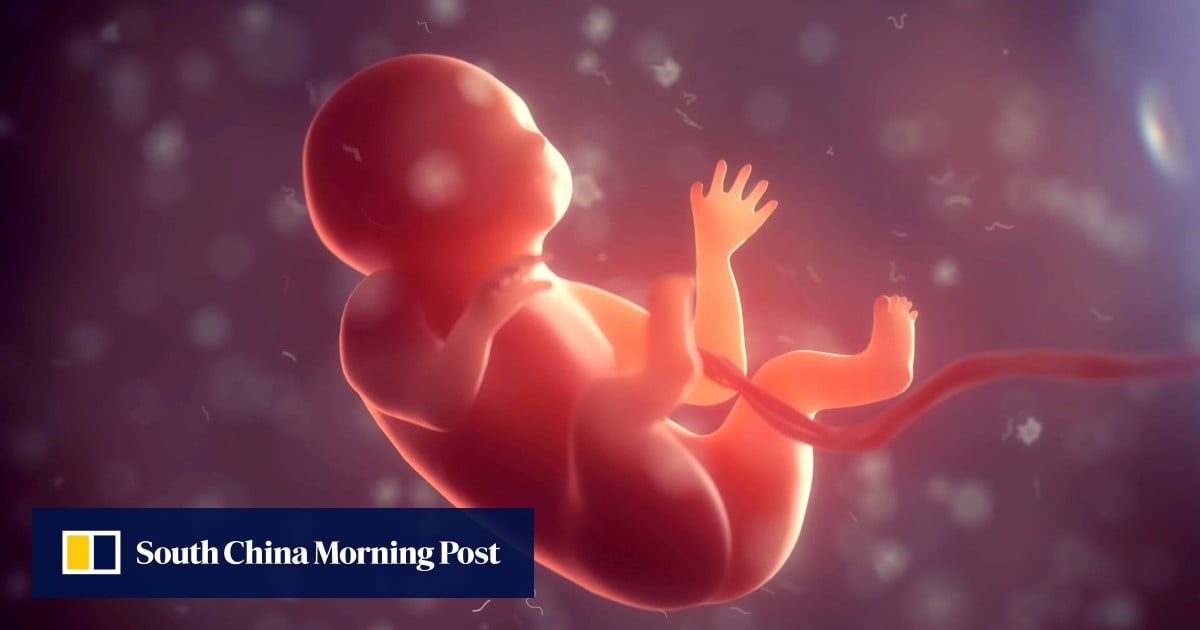 Chinese scientists have bad news on having babies in space. But there is a silver lining