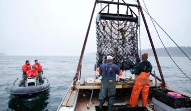 Trump administration aims to cut regulations on US commercial fishing | Donald Trump News