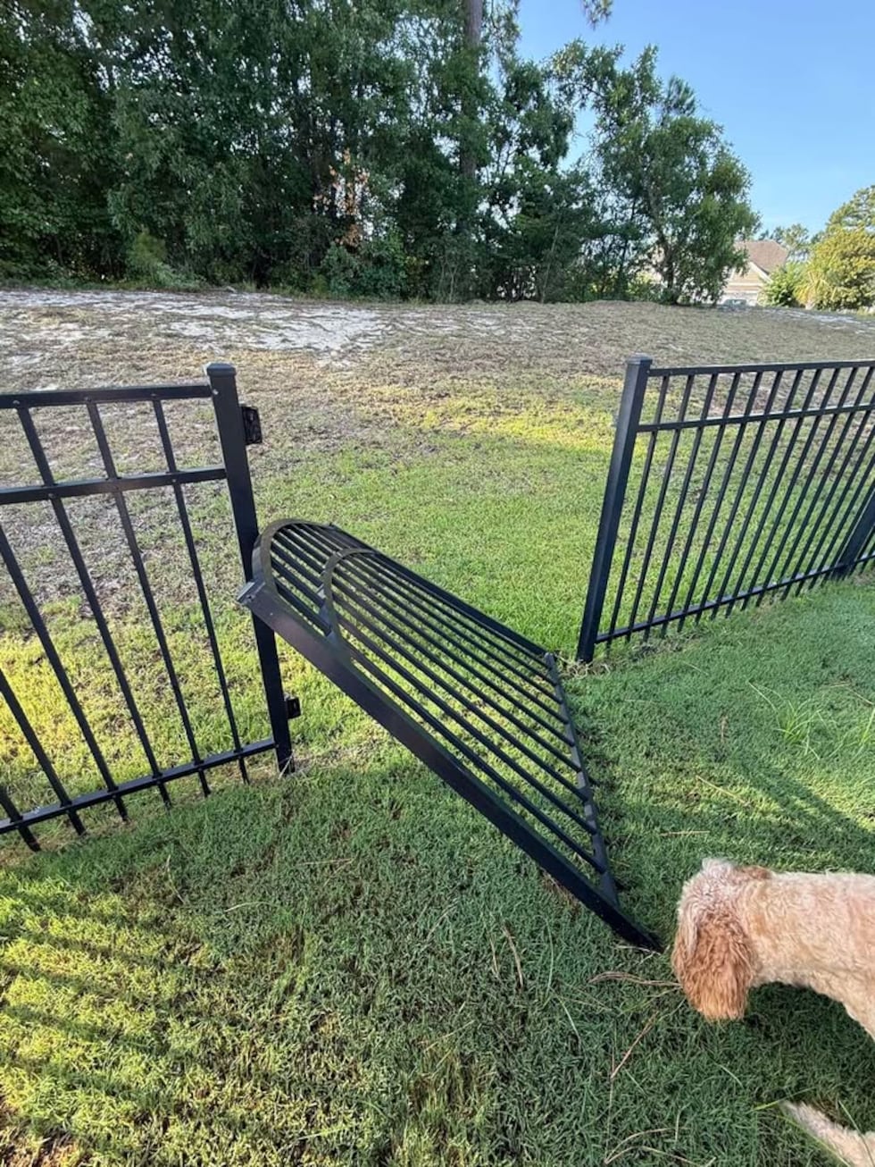Bear rips gate off hinges in North Myrtle Beach neighborhood