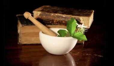 Global Ayurveda registry, Times Square centres, courses abroad—govt plans big push for traditional medicine