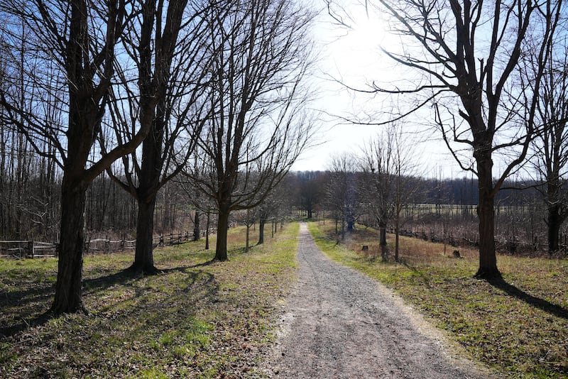 A road near the Joseph Smith family farm and the Sacred Grove is pictured in Palmyra, New York.
