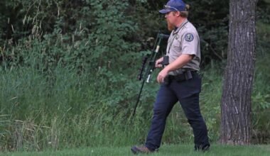 Wildlife officers respond to uncommon call after reports of bear eating another bear in Steamboat Springs