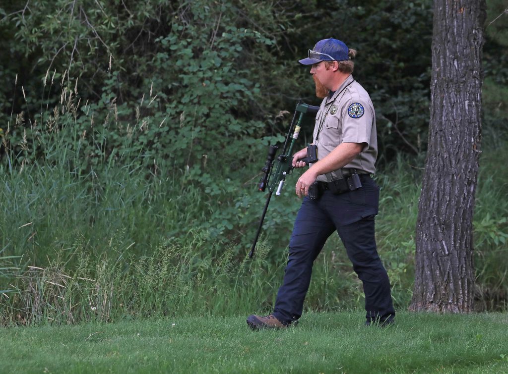 Wildlife officers respond to uncommon call after reports of bear eating another bear in Steamboat Springs