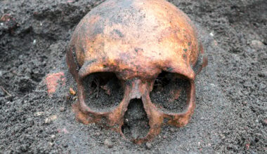 Ancient DNA Finally Solves a 16th-Century Murder Mystery : ScienceAlert