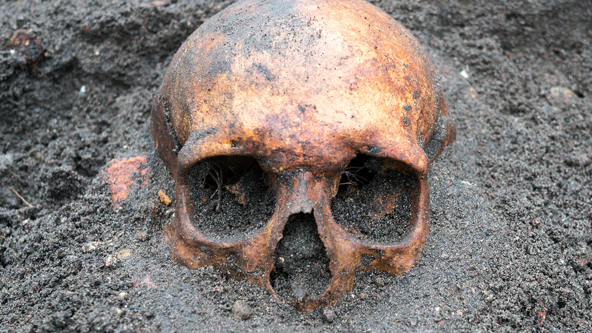 Ancient DNA Finally Solves a 16th-Century Murder Mystery : ScienceAlert