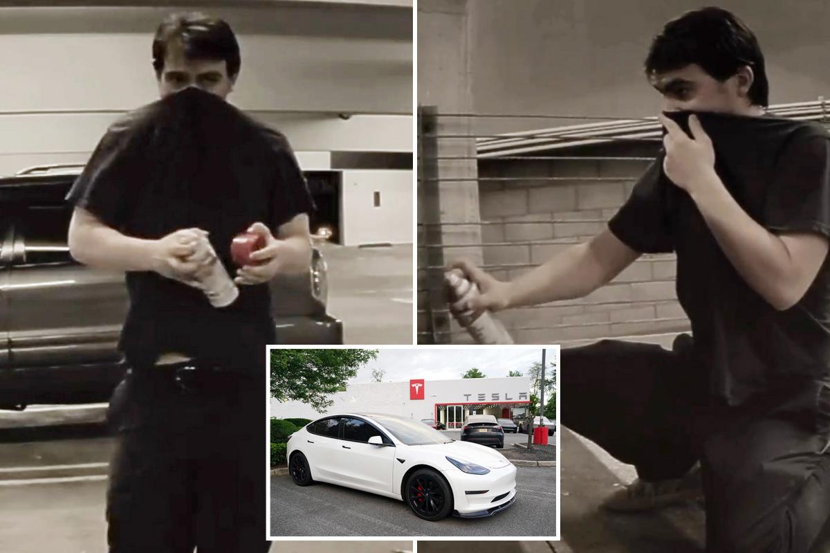 SoCal police hunt for vandal who spray-painted 13 Teslas in one week