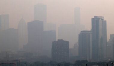Wildfire smoke in Illinois affects animals, caretakers