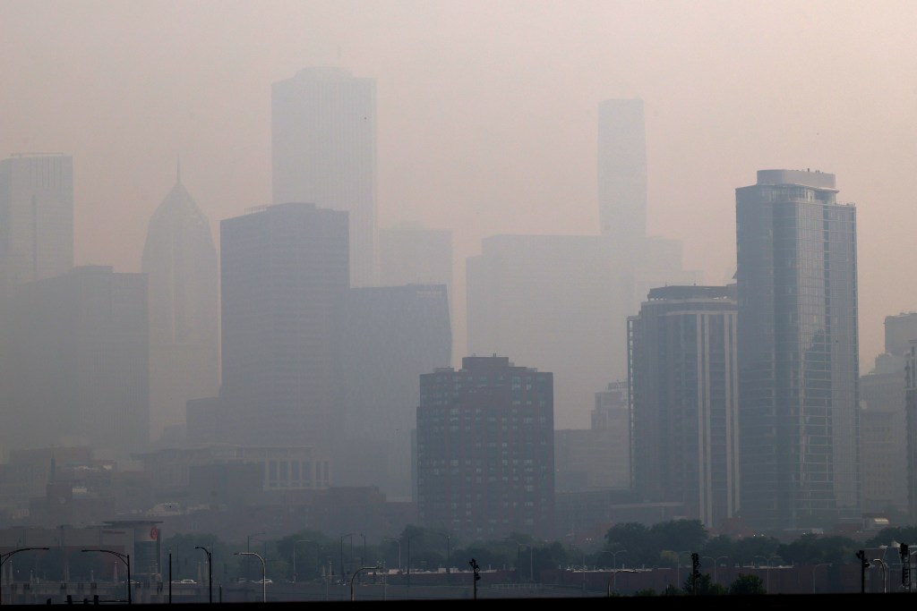 Wildfire smoke in Illinois affects animals, caretakers