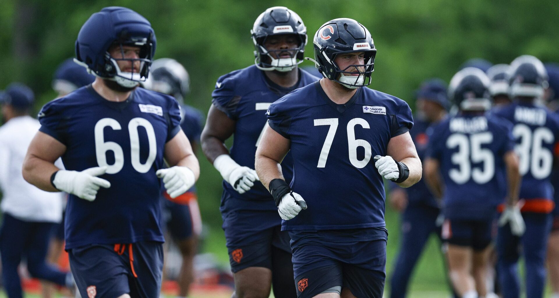 Bears