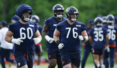 Bears