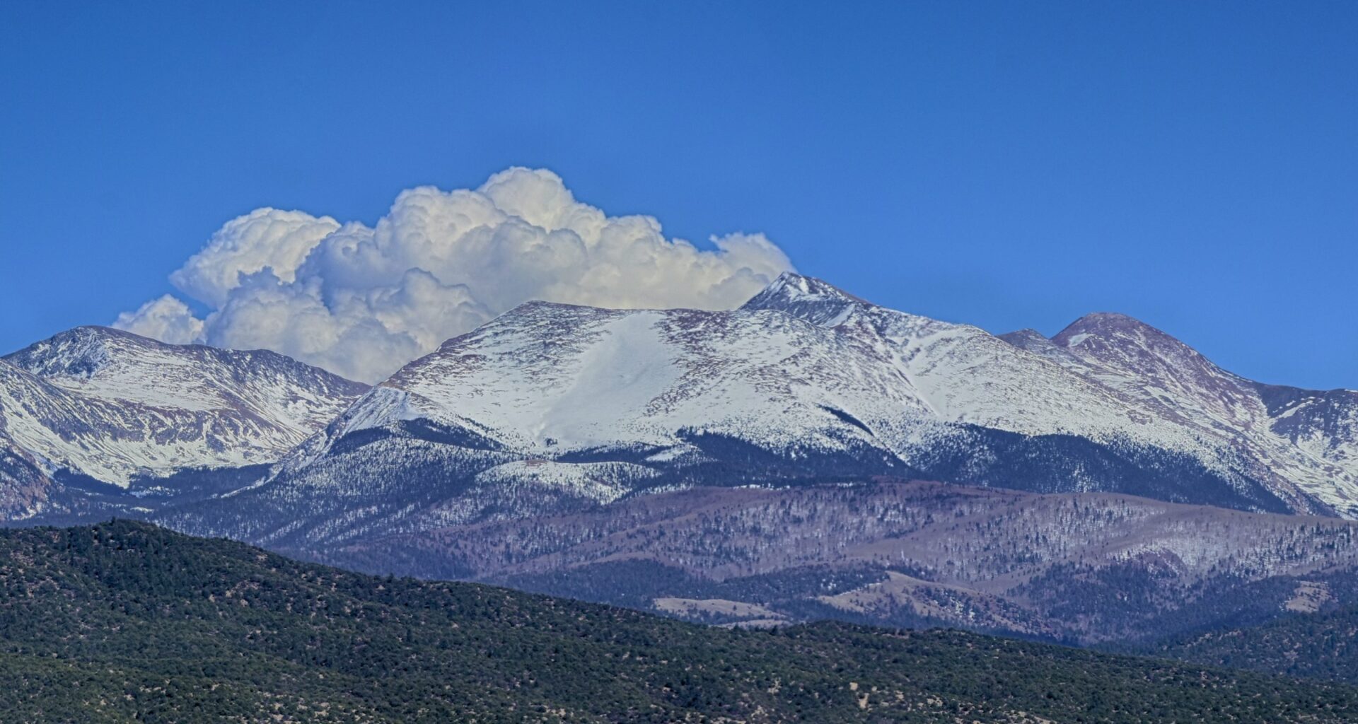 Elk, eagles and 30 other species affected by billionaire’s 8-foot-tall fence in San Luis Valley