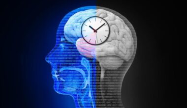 Circadian Rhythm Body Clock Science