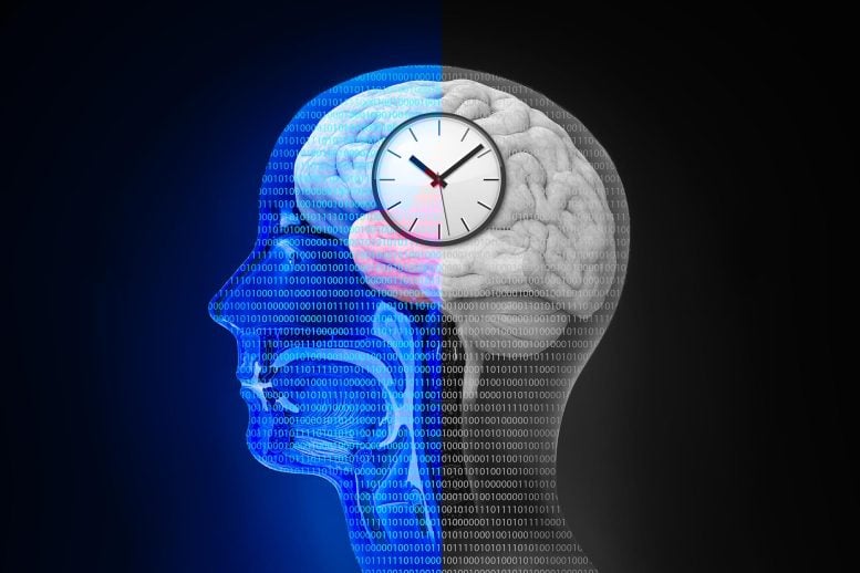 Circadian Rhythm Body Clock Science