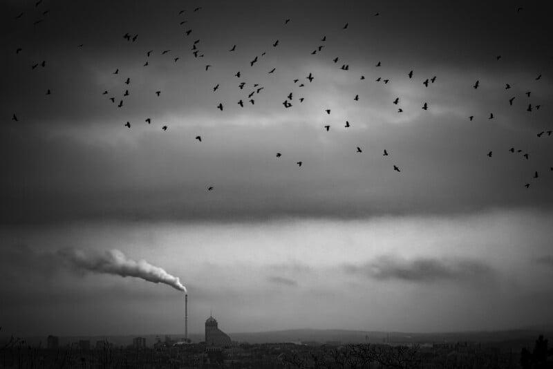 A black-and-white photo of a cityscape shows birds flying over industrial buildings, with smoke rising from a tall chimney under a cloudy sky.
