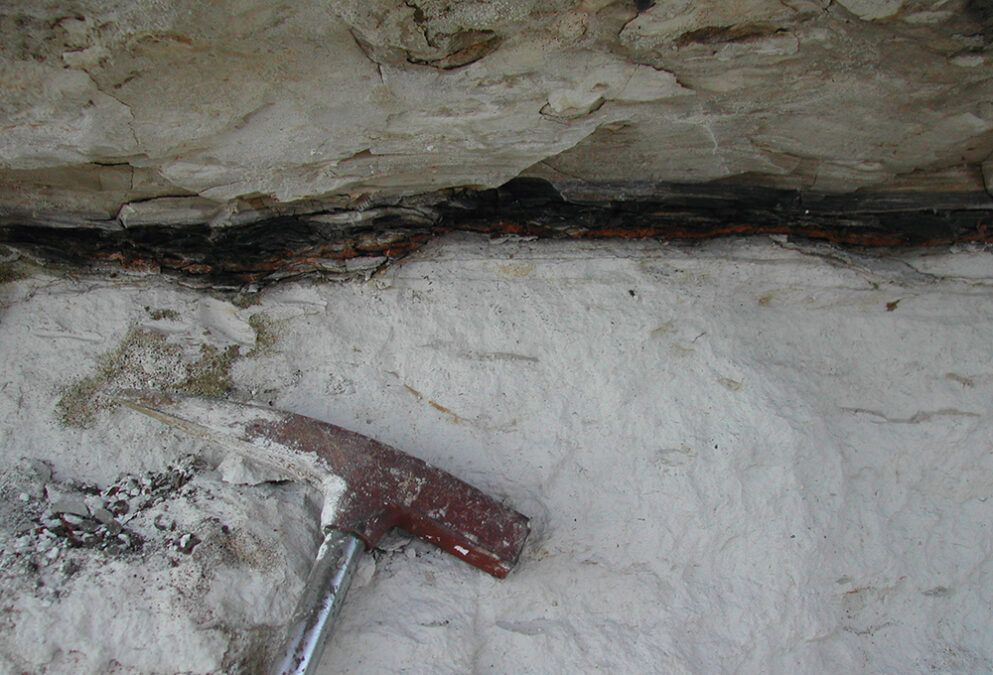 New Analysis Reveals Just How Cosmically Unlucky The Dinosaurs Were