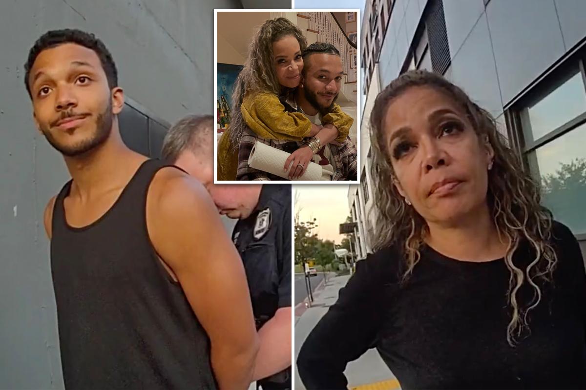 Sunny Hostin was on phone with son when he was caught trespassing on Metro-North tracks