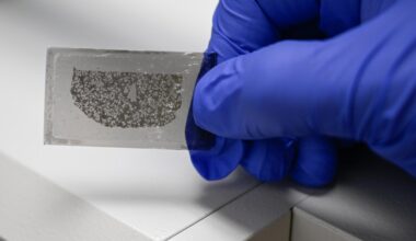 Rare meteorite came from giant early planet, CU Boulder study suggests