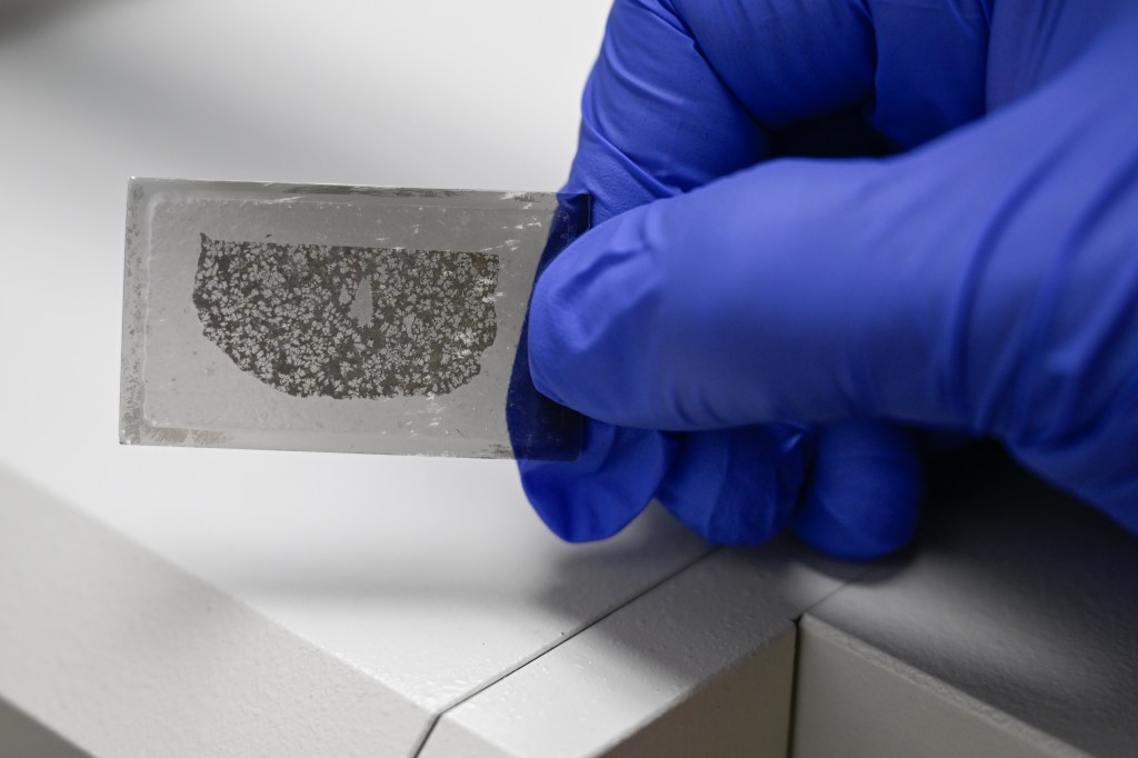 Rare meteorite came from giant early planet, CU Boulder study suggests