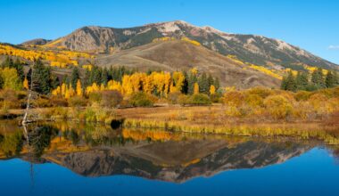 Colorado sees record year for tourism, despite slowing growth