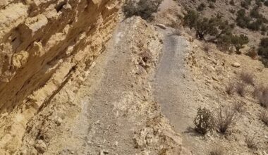 BREAKING NEWS: Fremont County Coroner IDs body found as missing Cañon City man – Canon City Daily Record