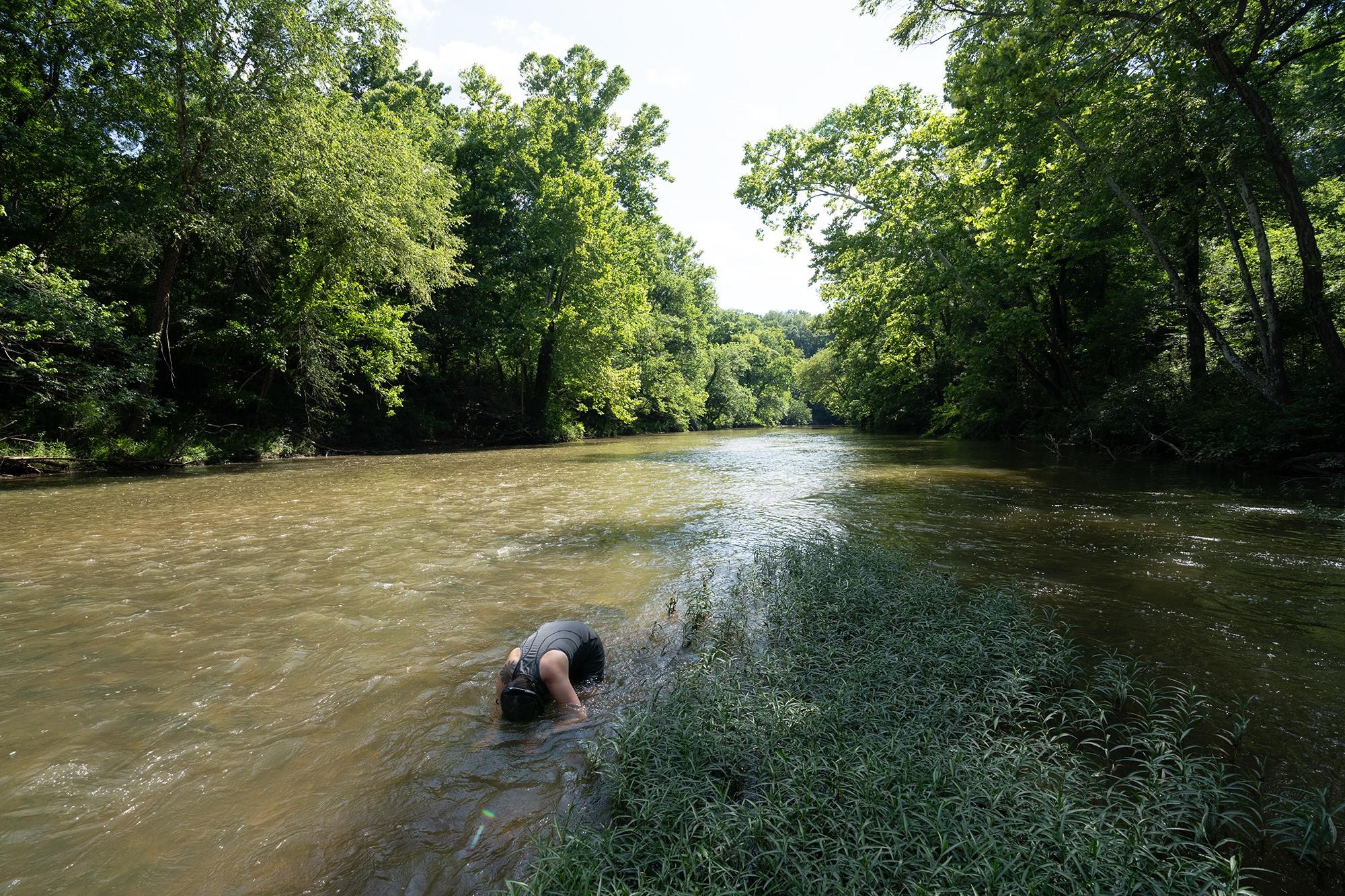 A biologist searches underwater with diving goggles, her face below a stream’s surface.