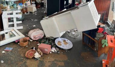 Look: Deer crashes through front window of Alabama antique store