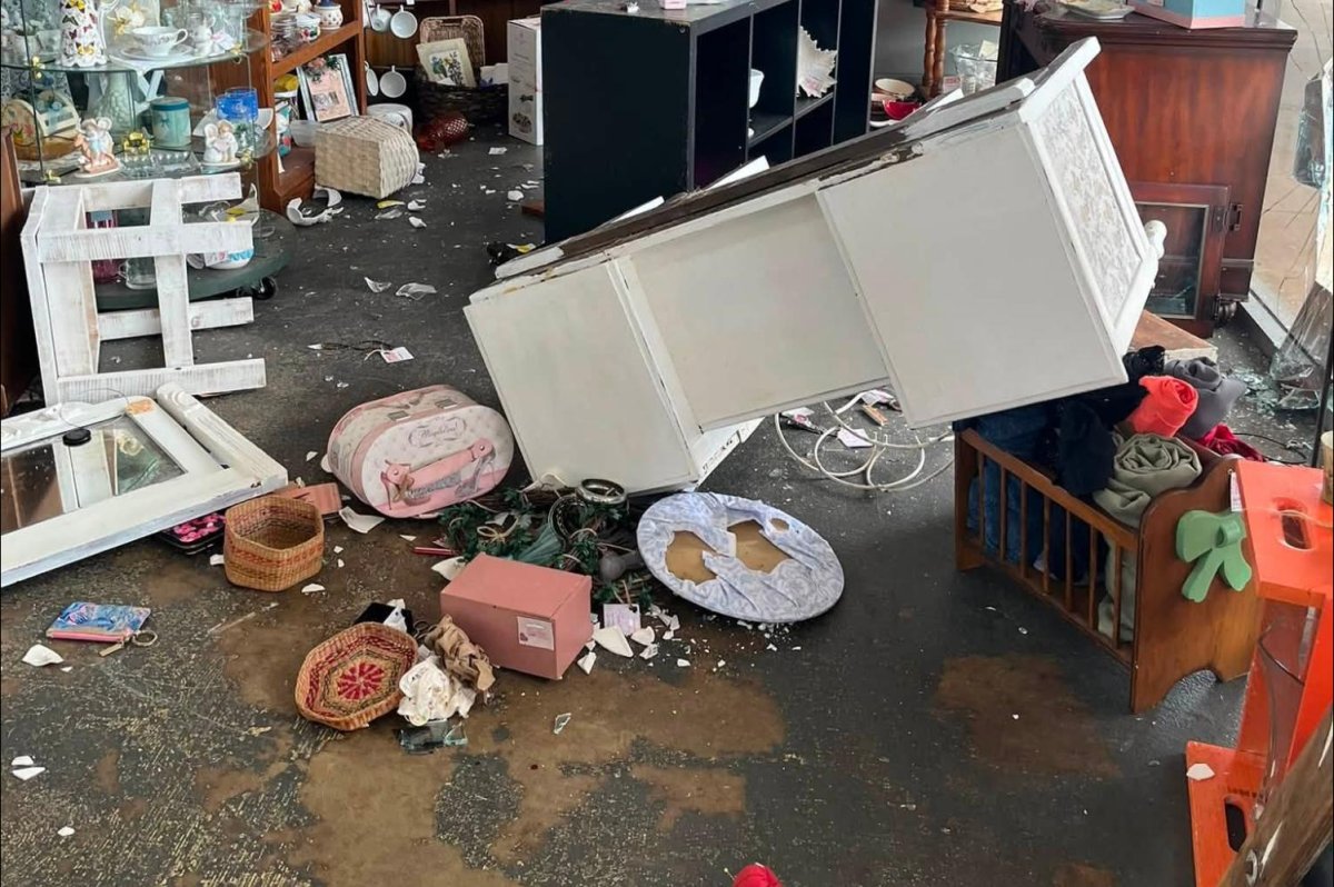 Look: Deer crashes through front window of Alabama antique store