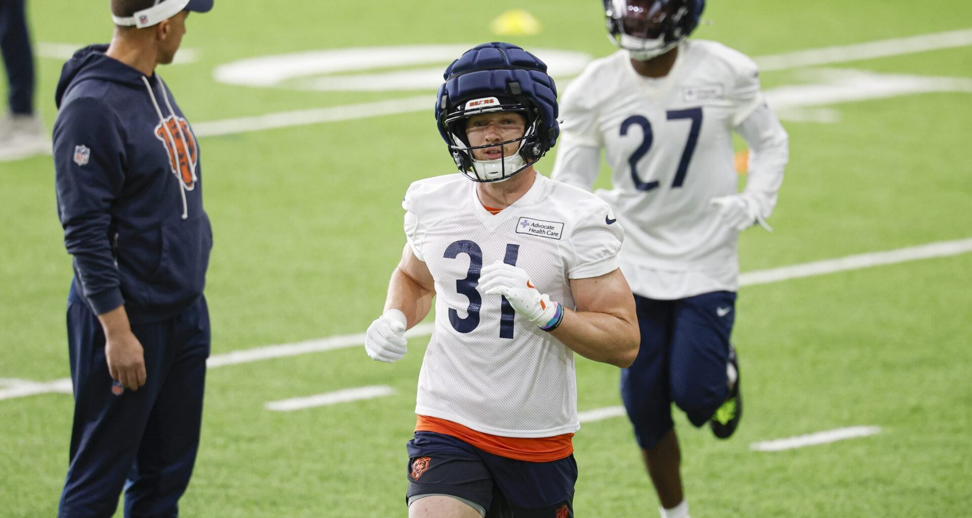 Bears