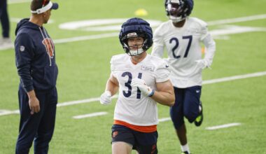 Bears