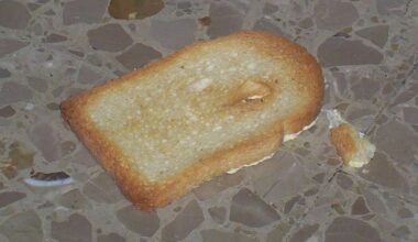 Why buttered toast lands butter-side down