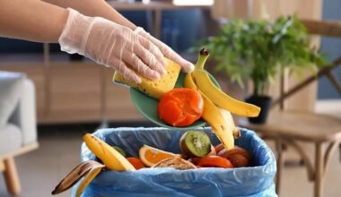 Food Connect app aims to cut Cyprus food waste