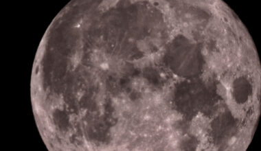 Full buck moon may bring color as it rises Wednesday night