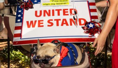 Archie, 5, waits at the Patriot Pet Show at the Betsy Ross House in Old City, Philadelphia before the contest begins.