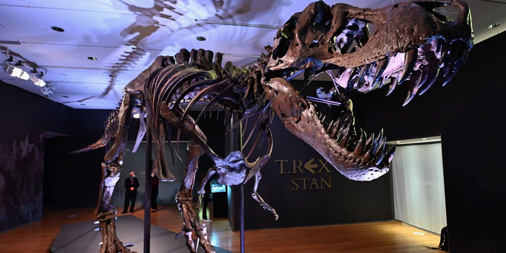 First-known bone of hatchling T. rex discovered stashed among museum collection