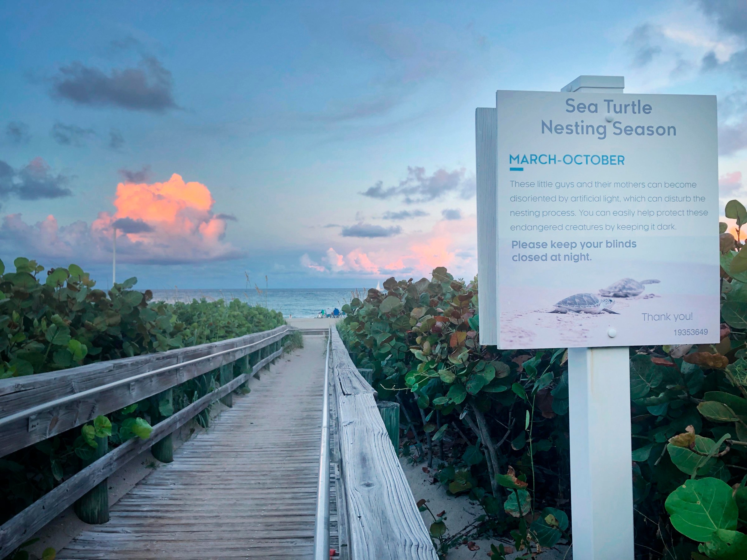 A wooden boardwalk stretches through tropical plants to a white sand beach and ocean beyond, with a sign reading “Sea turtle nesting season.”