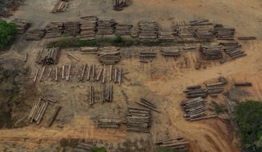 Brazil’s low deforestation in the Amazon is unlikely to last