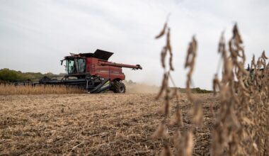 The Trump admin’s biofuels policy could be a disaster for the world’s rainforests